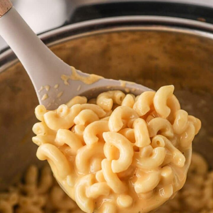 4 ingredient mac and cheese instant pot