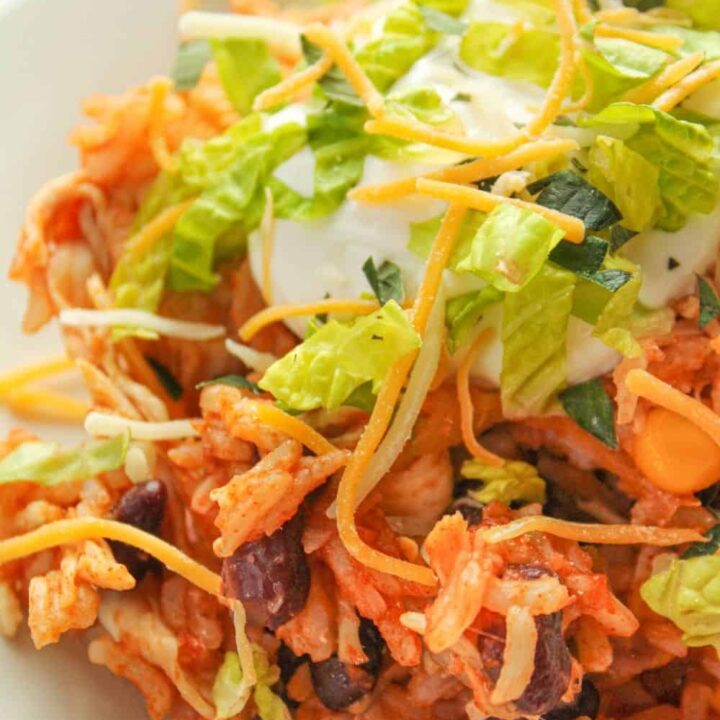 https://www.everydayfamilycooking.com/wp-content/uploads/2021/01/instant-pot-chicken-taco-bowls2-720x720.jpg