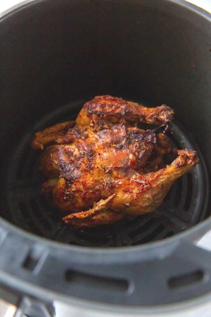 Instant pot air discount fryer cornish hen