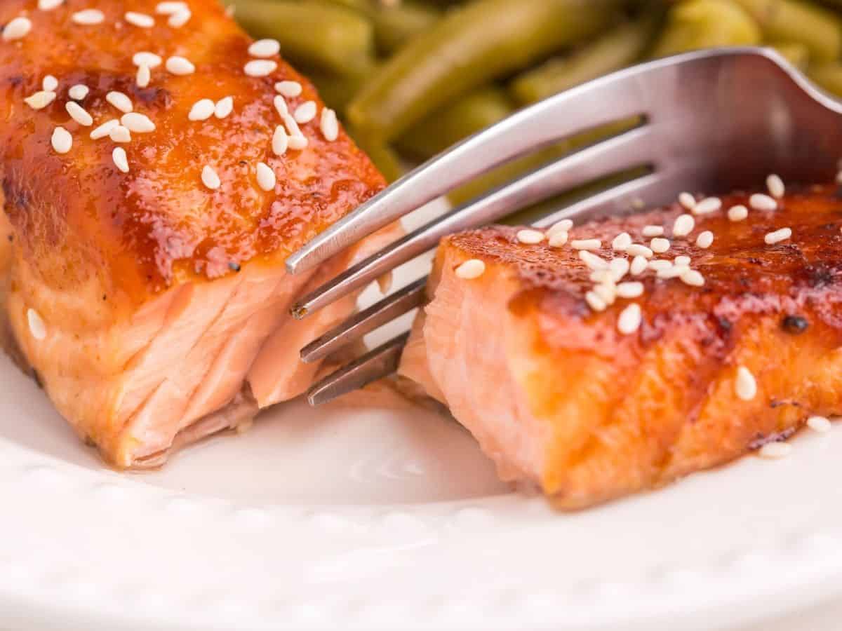 Teriyaki Salmon In The Air Fryer | Everyday Family Cooking