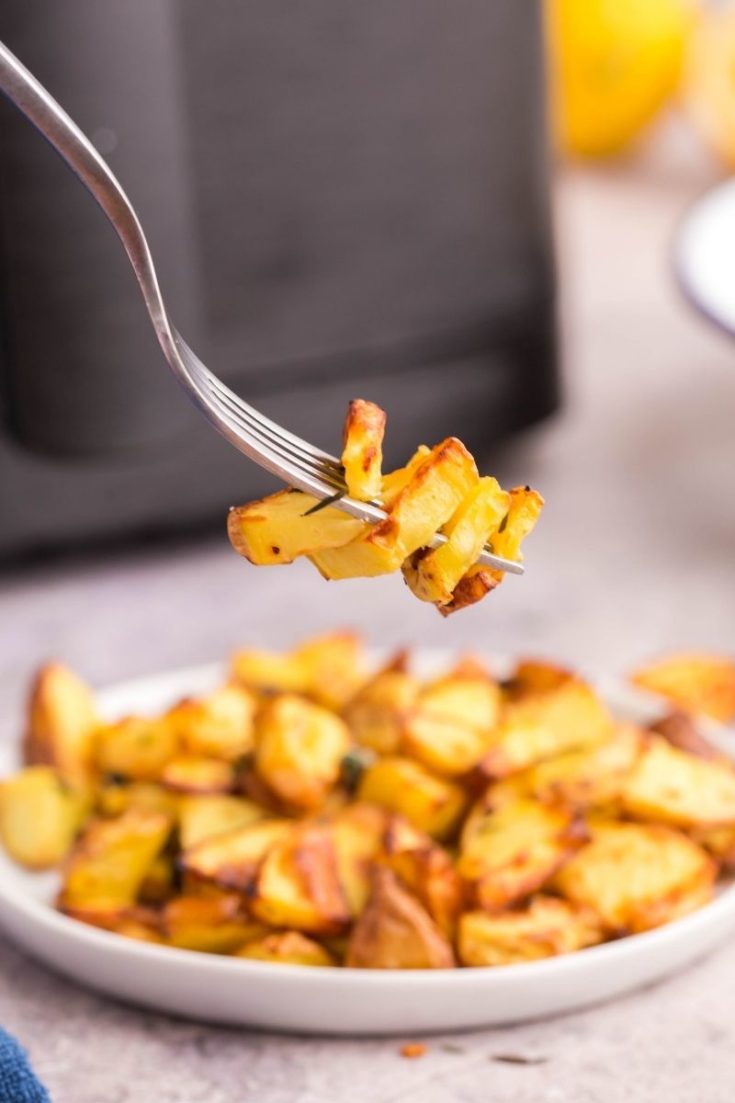 Air Fryer Diced Potatoes | Everyday Family Cooking