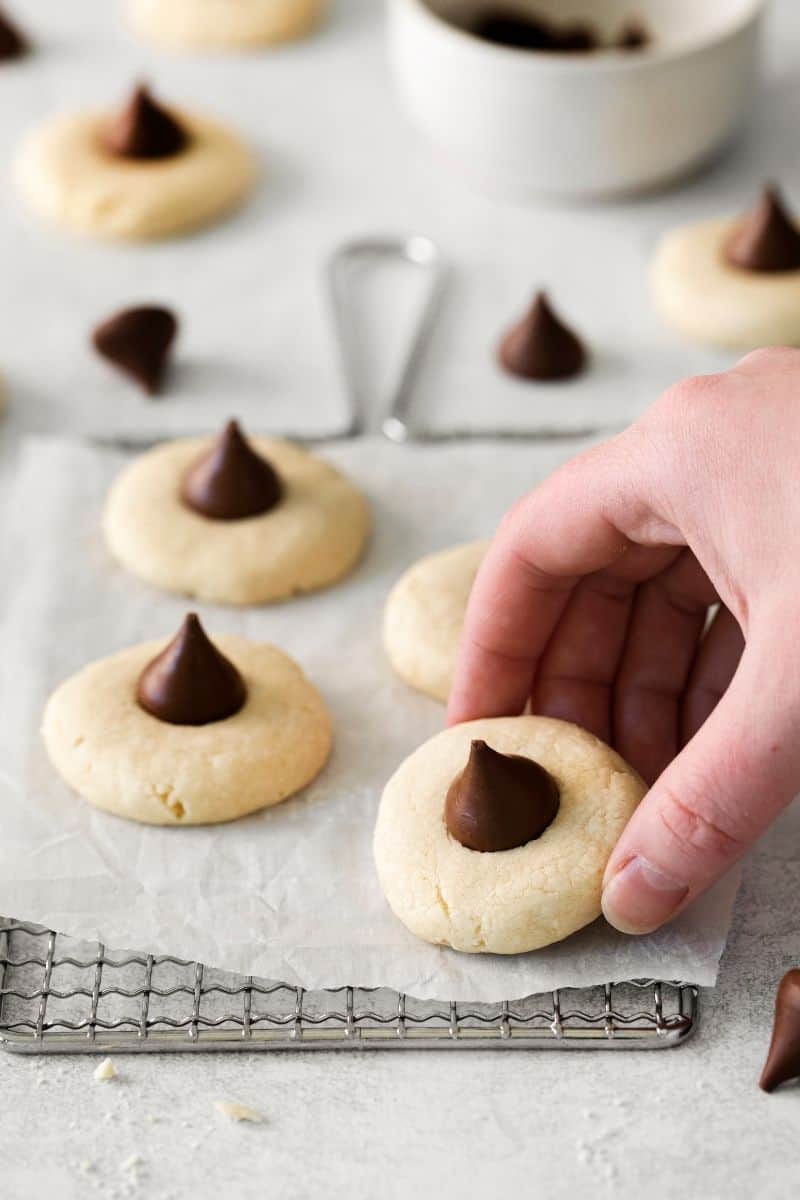 Sugar Cookies with Hershey Kisses - Everyday Family Cooking