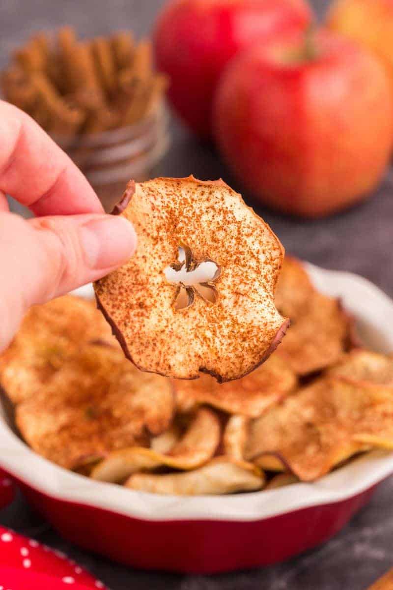 Best Air Fryer With Dehydrator - Also The Crumbs Please
