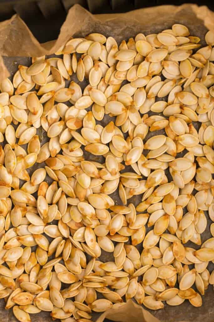 closeup of air fried pumpkin seeds