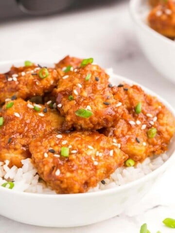 side view of teriyaki chicken on plate