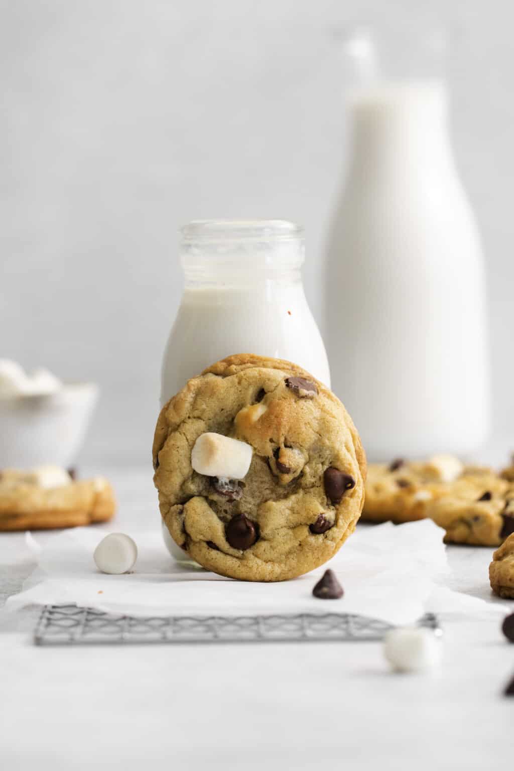 Chocolate Chip Marshmallow Cookies | Everyday Family Cooking