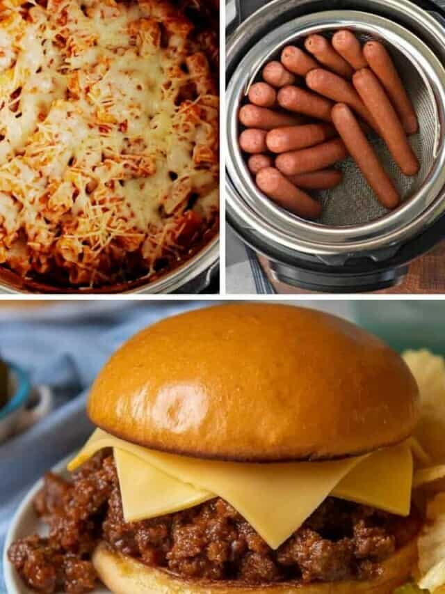 25 Easy Family Instant Pot Recipes