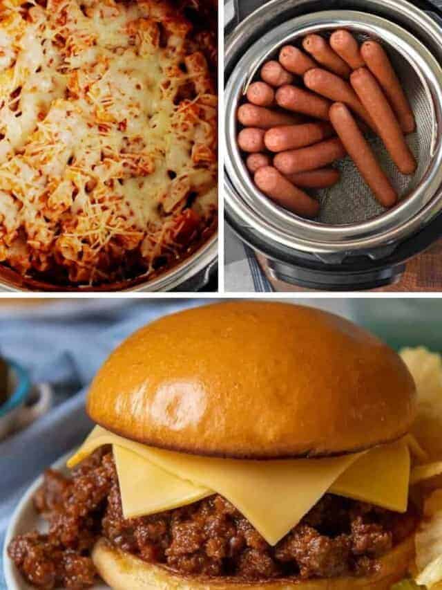 25 Easy Family Instant Pot Recipes - Everyday Family Cooking