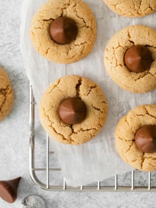 Turning Air Dry Clay into PEANUT BUTTER HERSHEY KISS DIY FAKE COOKIES in  2023