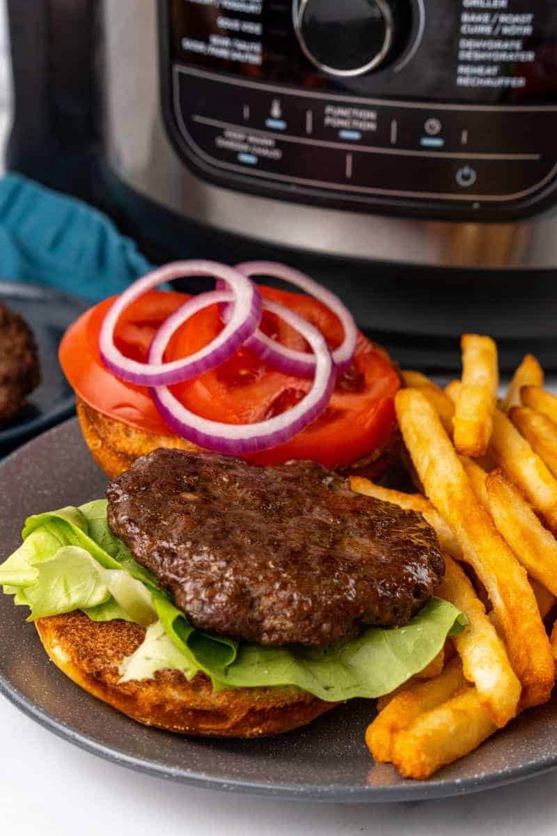 https://www.everydayfamilycooking.com/wp-content/uploads/2023/04/Ninja-foodi-burgers-7.jpg