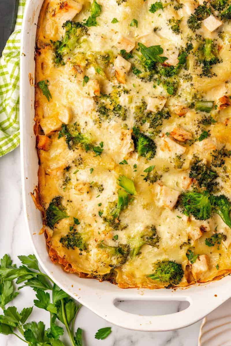 Chicken and Broccoli Lasagna | Everyday Family Cooking