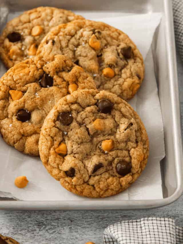 Soft and Chewy Butterscotch Chocolate Chip Cookies