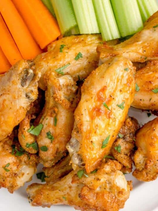 Air Fryer Recipes Archives - Everyday Family Cooking