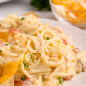 Close up of chicken tetrazzini on a white dinner plate.