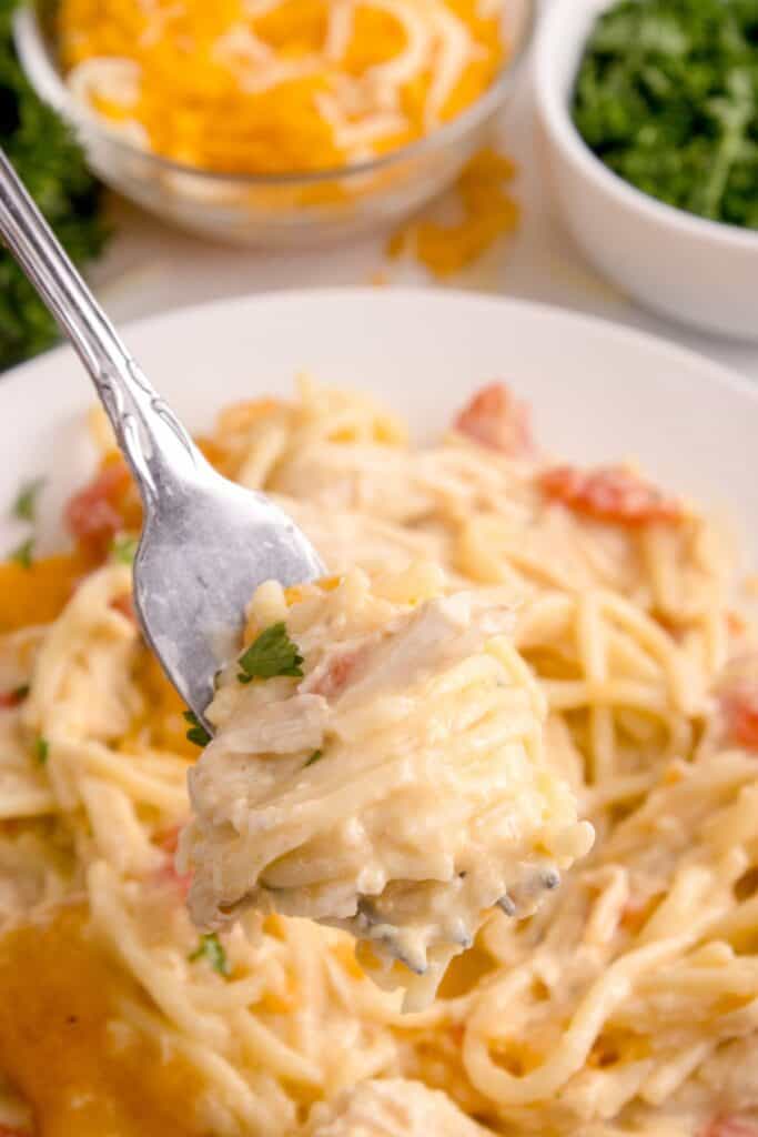 Forkful of chicken tetrazzini above a white dinner plate.