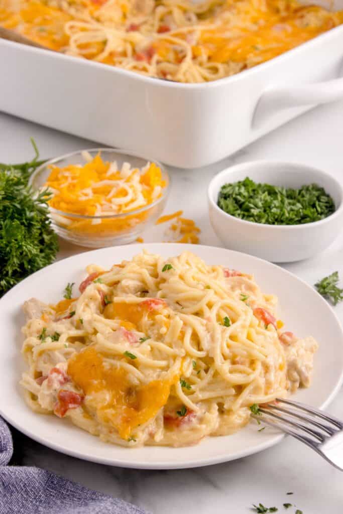 Chicken tetrazzini on a white dinner plate with a fork in front of the baking dish.