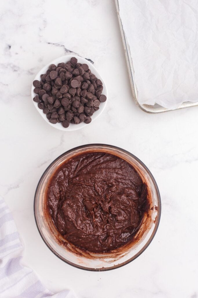 Double chocolate chip cookie dough in a glass bowl. Small bowl of chocolate chips just above it.