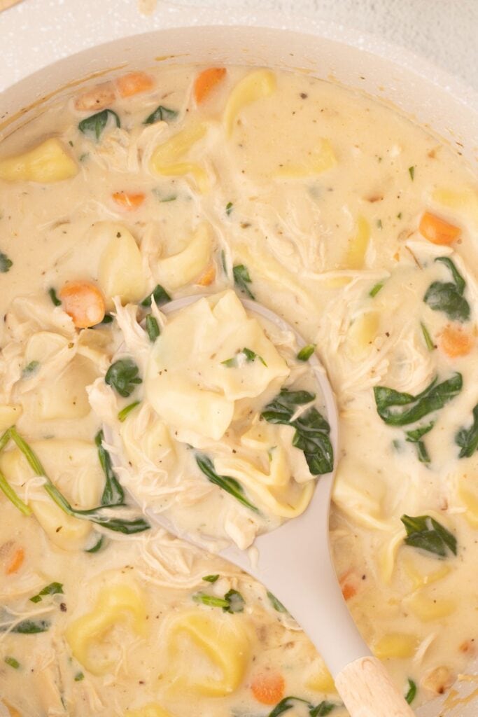 Close up view of chicken tortellini soup with a ladle.