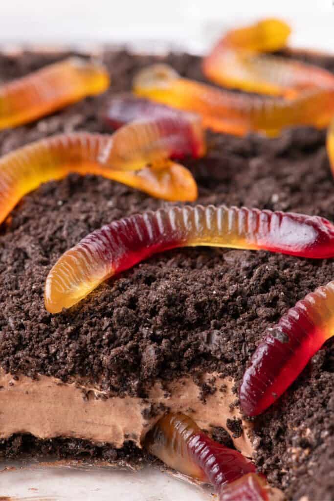 Close up of completed dirt cake.